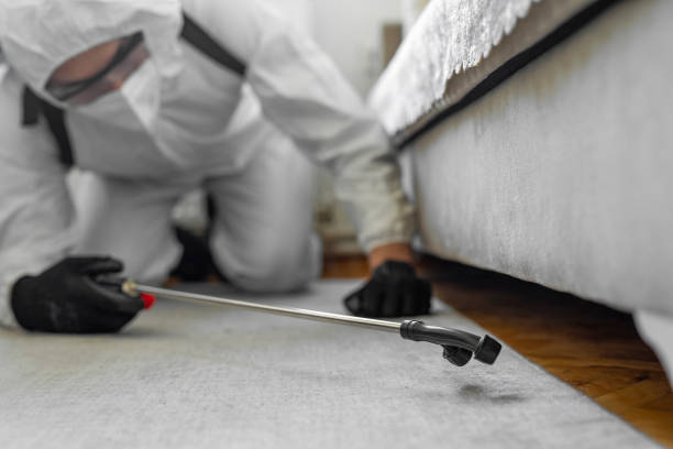 Professional Termite Control technician working in Forest Park, IL