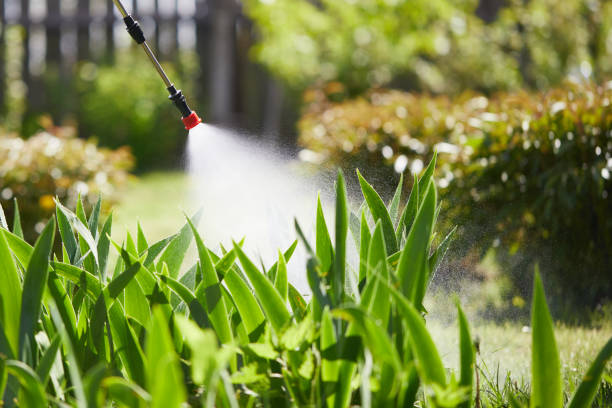 24/7 Emergency Termite Control experts in Forest Park, IL